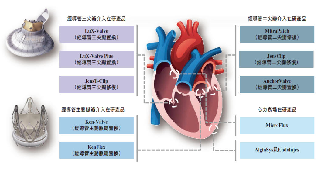 健世科技上市市值超120亿，心脏瓣膜领域谁能领跑大蓝海赛道？