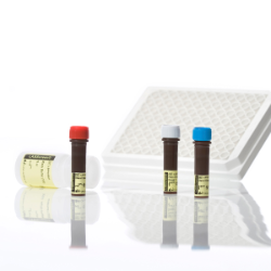 HLA 特异性抗体检测试剂盒（流式细胞仪-微珠法）
